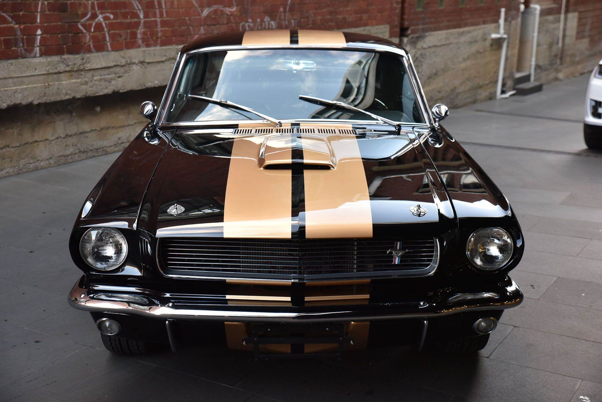 1966 Ford Shelby G.T. 350 Fastback 