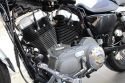 2010 Harley-Davidson Nightster XL1200N- for sale in Australia