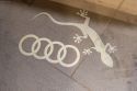 2024 Audi RS Q8 F1 TFSI Wagon 5dr Tiptronic 8sp quattro 4.0TT/12kW [MY23] 