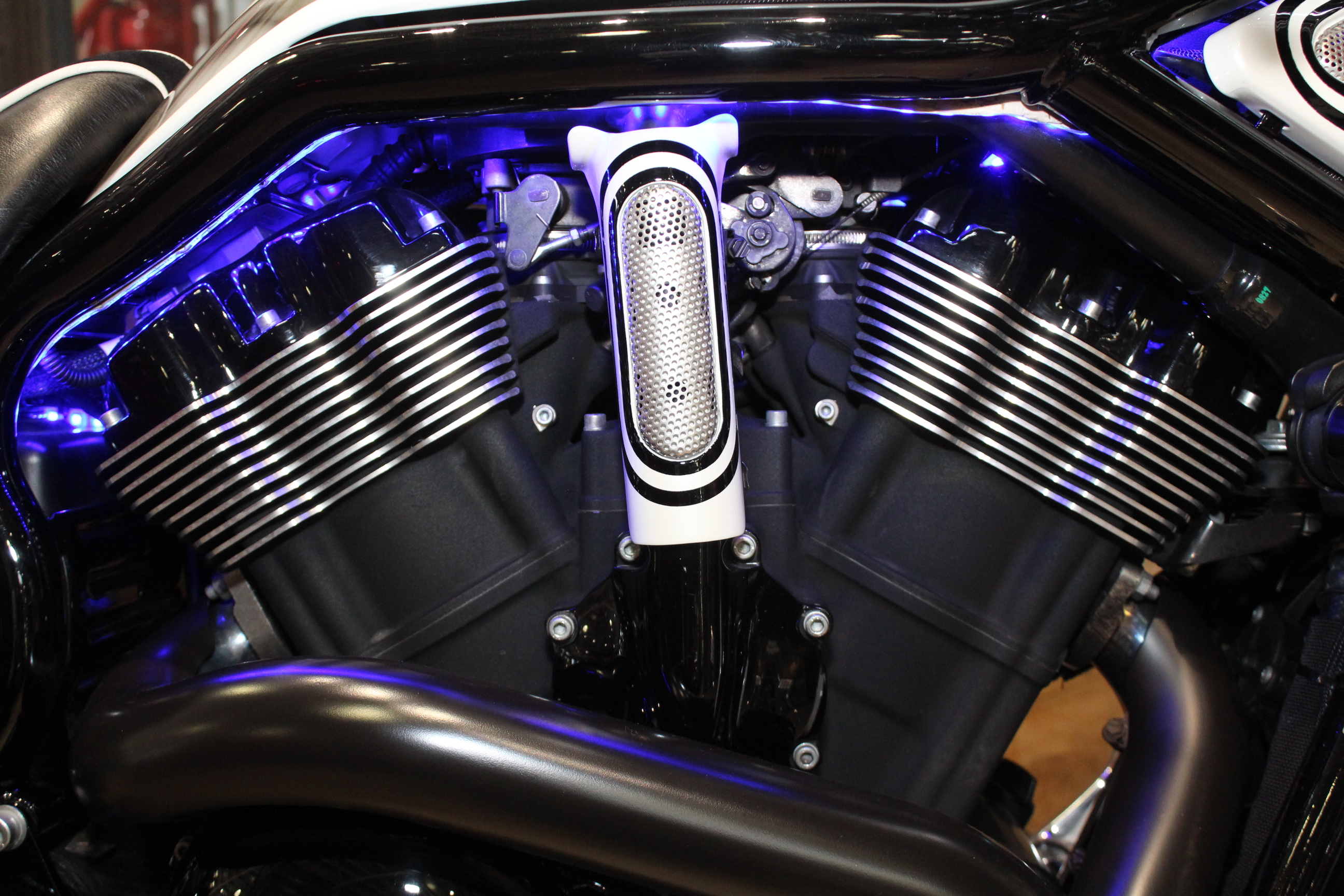 night rod engine