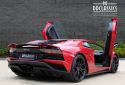 REDAVENTADOR_3