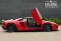 REDAVENTADOR_7